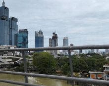 Green Office CBD