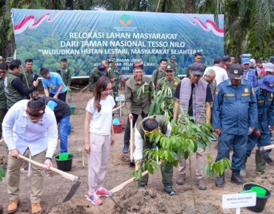Taman Nasional Tesso Nilo