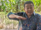 pasar rumah second