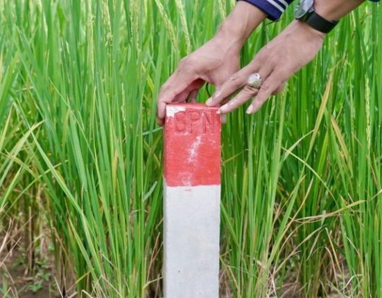Konflik batas tanah