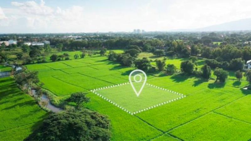 Prosedur Pemisahan Bidang Tanah