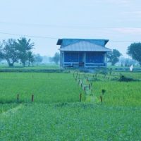 Asas Kontradiktur