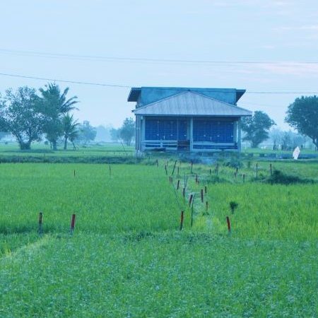 Asas Kontradiktur