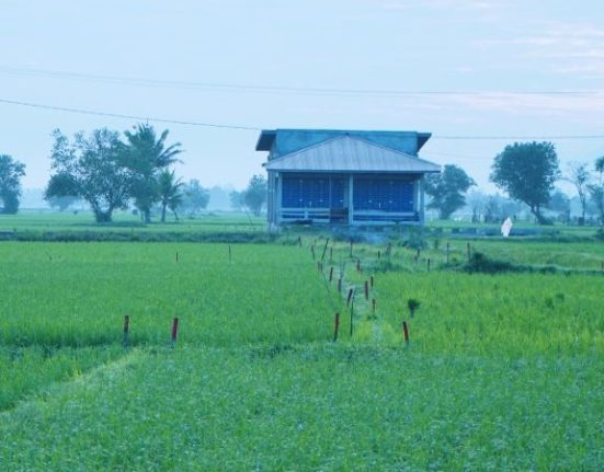 Asas Kontradiktur