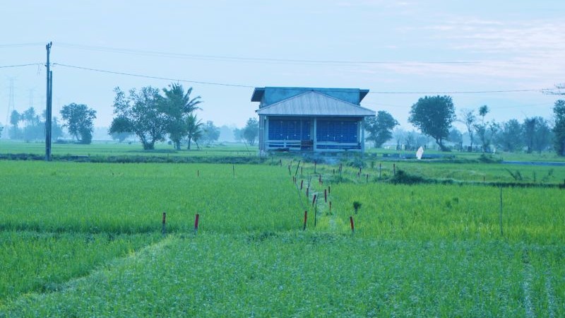 Asas Kontradiktur