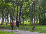BSD City Green Living