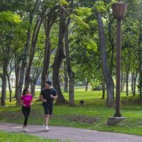 BSD City Green Living