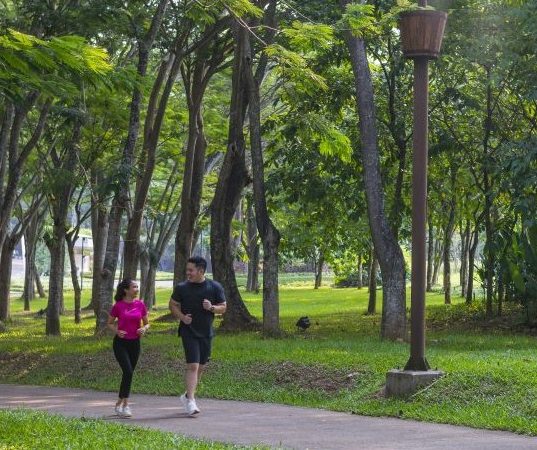 BSD City Green Living