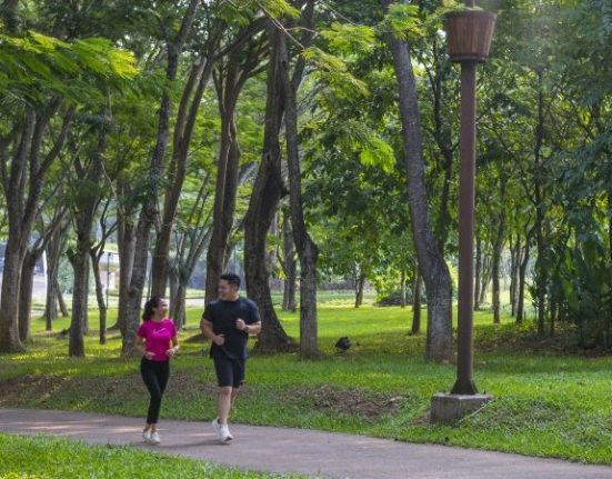 BSD City Green Living