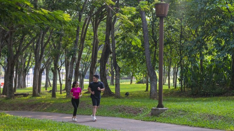 BSD City Green Living
