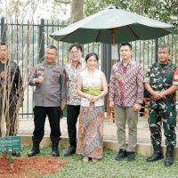 Sewu Lake House alam