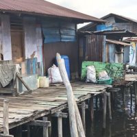 Papua Pegunungan